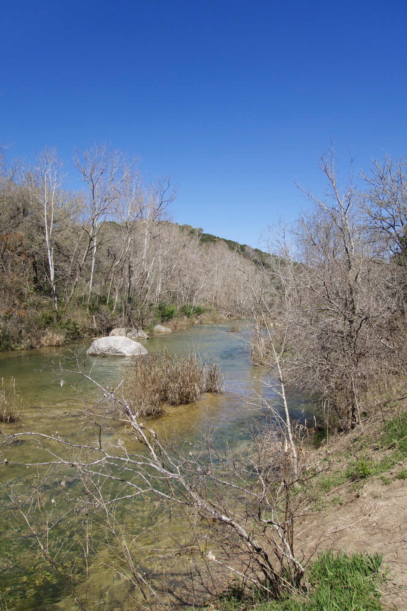 Photo 7 from Austin