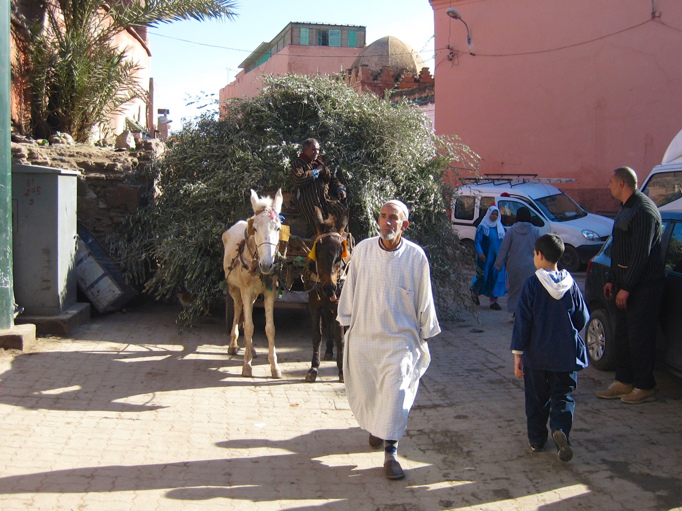 Photo 9 from Marrakech
